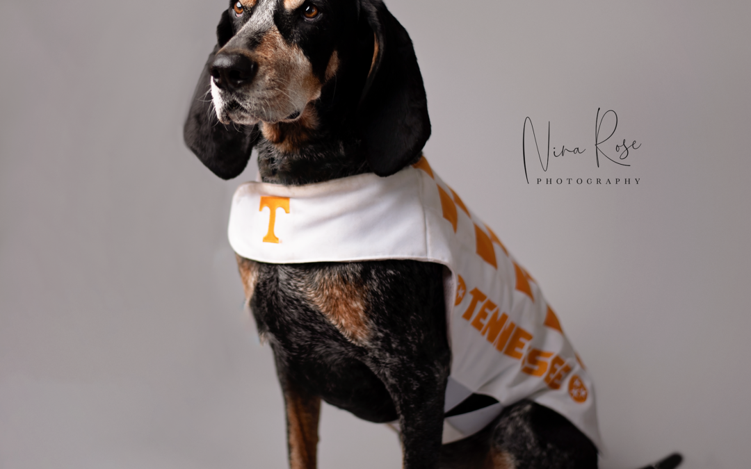 “Smokey”, the official University of Tennessee mascot